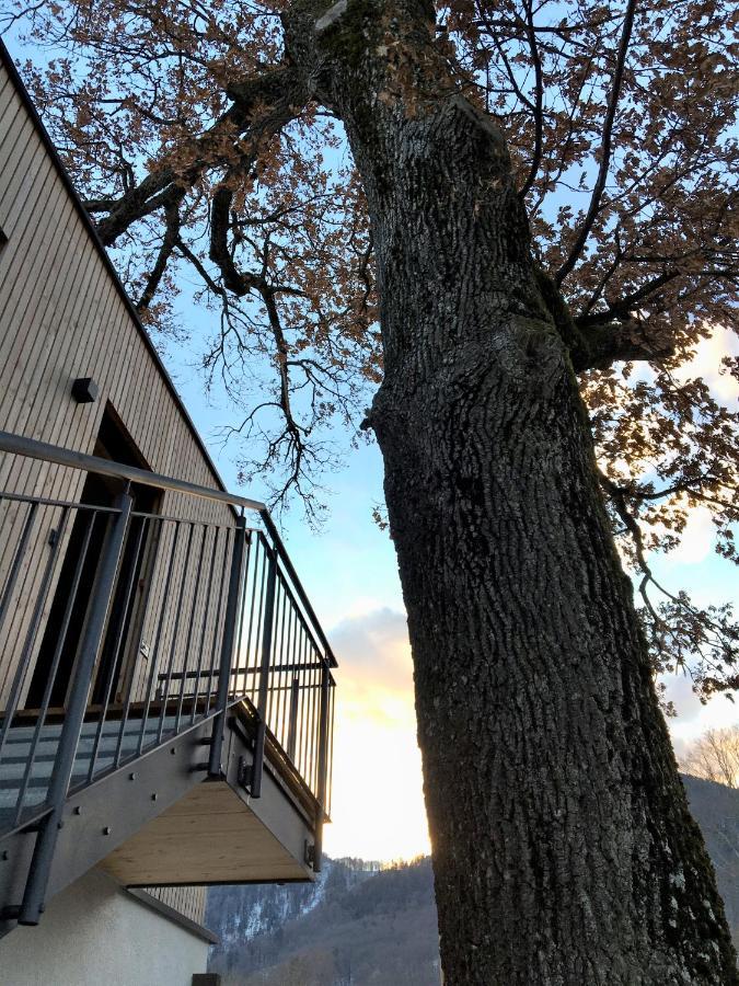 Kampenzeit Loft Mit Traumhaftem Panoramablick Διαμέρισμα Aschau im Chiemgau Εξωτερικό φωτογραφία