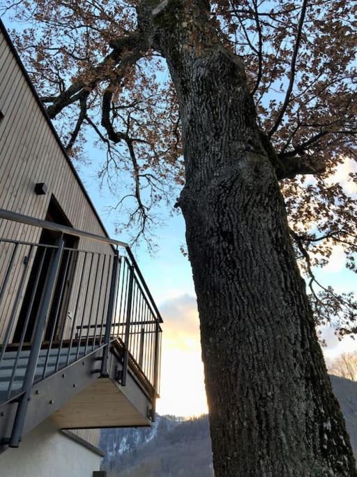 Kampenzeit Loft Mit Traumhaftem Panoramablick Διαμέρισμα Aschau im Chiemgau Εξωτερικό φωτογραφία